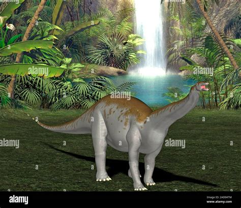 Apatosaurus Dinosaurio Ilustración De Un Equipo Apatosaurus Brontosaurus Sp Dinosaurio Por