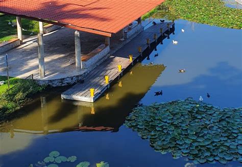 Preocupa La Contaminación Del Agua En Yucatán