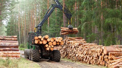 Timber Harvesting Guidelines Planned Harvesting And Reforestation