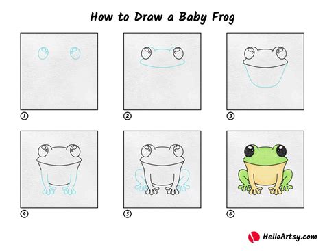 draw  frog step  step