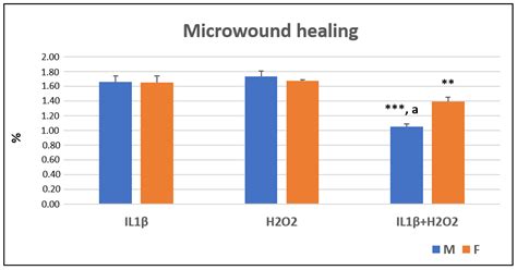 Jcm Free Full Text Ageing And Osteoarthritis Synergically Affect