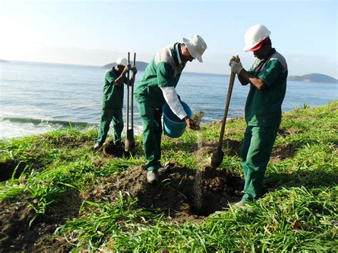 O Que Reflorestamento Ambiental Pense No Verde