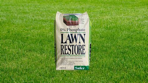 Lawn Care Secrets Transform Your Yard Into A Paradise Storables