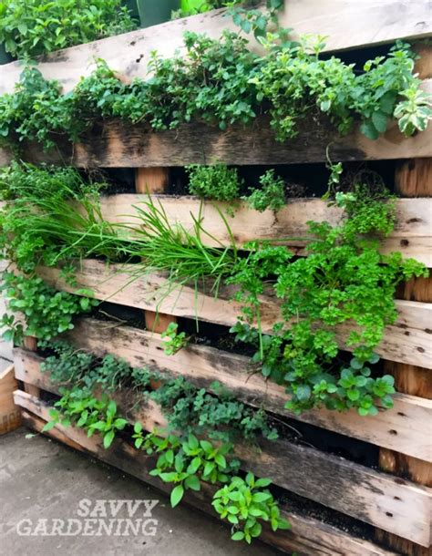 Vertical Vegetable Garden Ideas