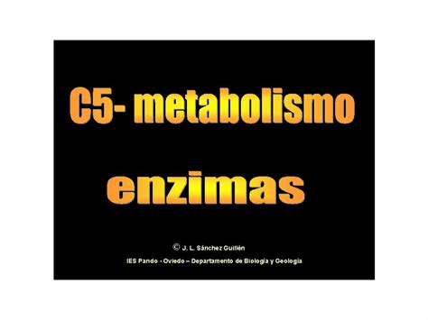 Ppt Metabolismo Enzimas Dokumen Tips