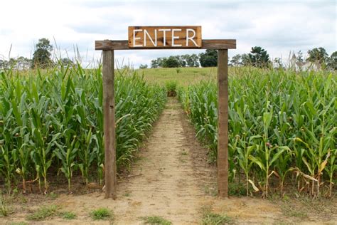 Corn Mazes To Visit In Northern Georgia