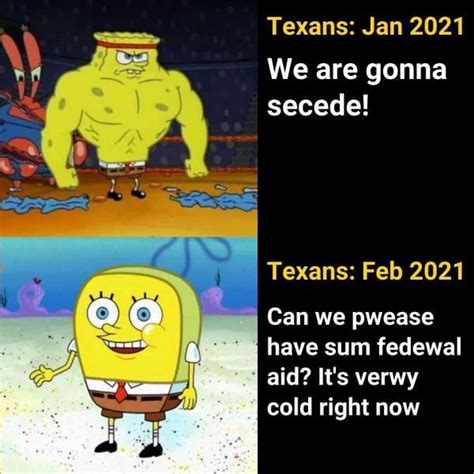 Memes And Tweets About Texas In Snow Fun