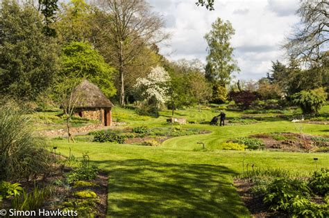 Pictures Of Bressingham Gardens Near Diss In Norfolk Simon Hawketts