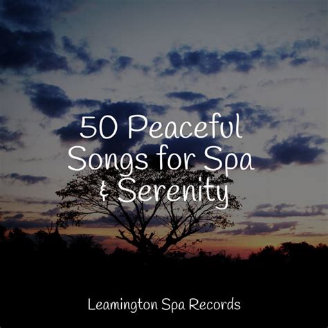 50 Peaceful Songs For Spa Serenity Album By Bedtime Baby Spotify