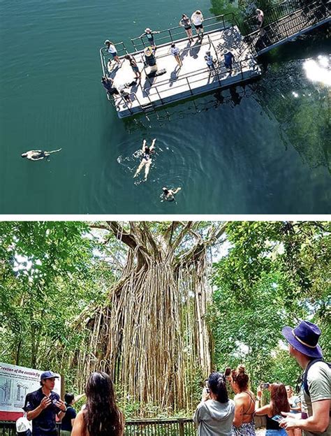 Cairns Waterfall Wanderers Tour With Palm Cove Tours