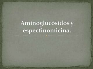 Aminogluc Sidos Y Espectinomicina Ppt