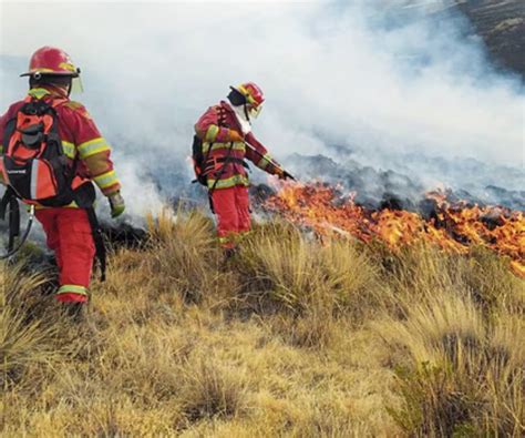 Indeci Ha Reportado Incendios Forestales En 22 Regiones De Perú En Lo