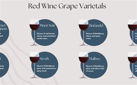 A Comprehensive Guide to Red Wine - Peak Beverage