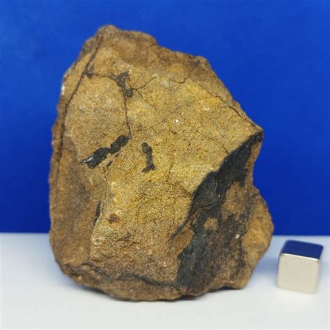 Xl Chondrite D Enstatite Venant De L Orbite De Mercure M T Orite