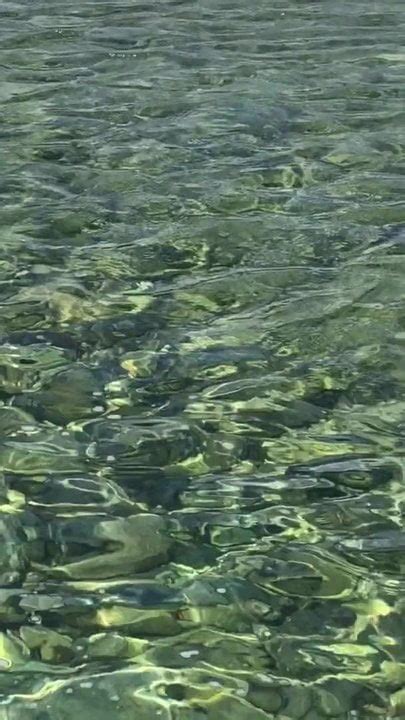 Pisciata Free Gay Amateur Hunk Porn Video XHamster