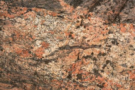 Granite Gneiss Photograph by Andy Davies/science Photo Library - Pixels