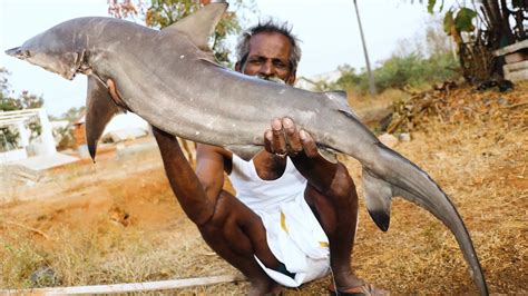 Shark Fish Sura Puttu Recipe Prepared By My Daddy Arumugam