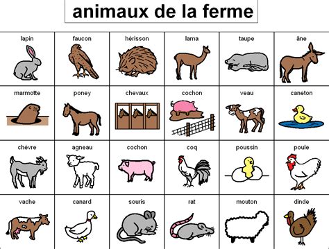 On Apprend Le Fran Ais Vocabulaire Des Animaux