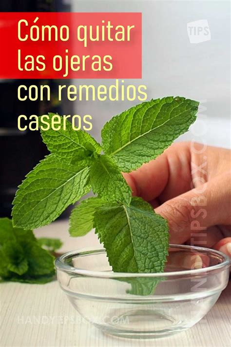 C Mo Quitar Las Ojeras Con Remedios Caseros Artofit