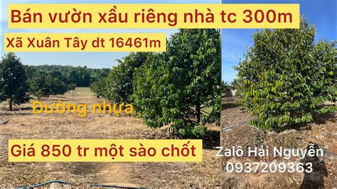 Bán Lô đất Xã Xuân Tây Dt 16461m Tc 300m Vườn Xầu Riêng Mặt đường Nhựa