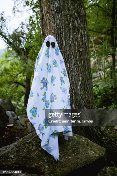 Sheet Ghost Costume Photos and Premium High Res Pictures - Getty Images