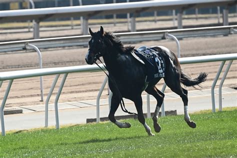 2頭が安楽死、福永祐一は鎖骨骨折香港スプリントの“落馬事故”はなぜ起きたのか？ “わずか1秒半”の悲劇で、避けるのは不可能 競馬