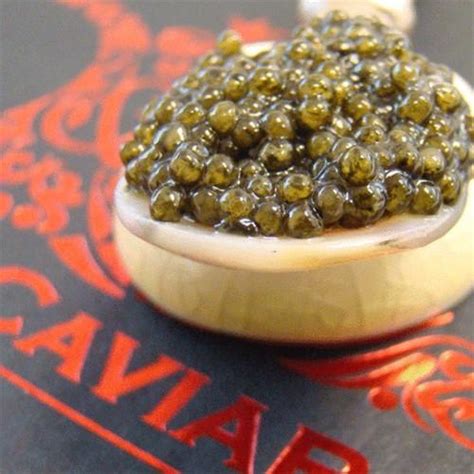 American Paddlefish Caviar/Caviar&Caviar/Caviar & Roe – igourmet