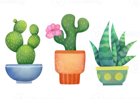 Watercolor Clipart Cacti Set Isolated On Transparent Background For