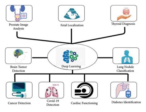 Applications of deep learning for various medical image processing ...