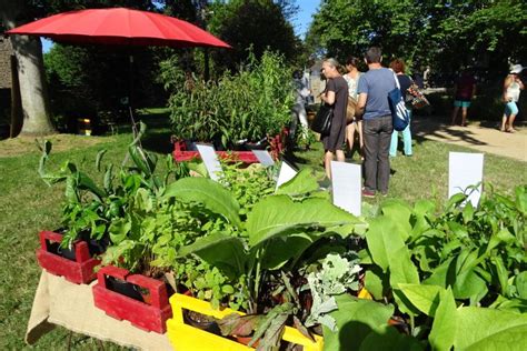 Bourse Aux Plantes Samedi Octobre Saint Quay Portrieux La Presse