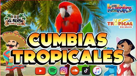 Cumbias Viejitas Tropicales Las Mejores Cumbias Mix Cumbias Para