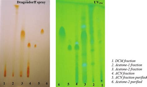 Visualizing Tlc Plates Visualization Summary Pdf Thin 42 Off