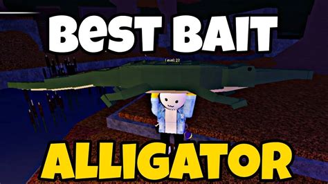 Best Bait To Catch Alligator In Fisch Roblox Youtube