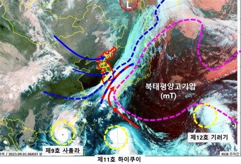 동시에 덮친다던 태풍 3개하이쿠이 中상륙 기러기 힘빠졌다 머니투데이