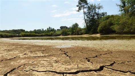 L article à lire pour comprendre la sécheresse exceptionnelle qui