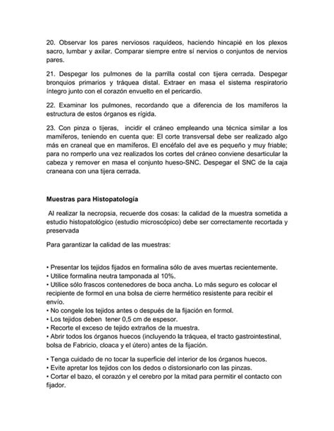 Manual De Necropsia Aviar PDF