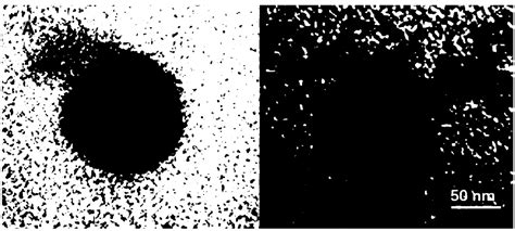 Bionic Binary Cooperative Nano Carrier As Well As Preparation Method