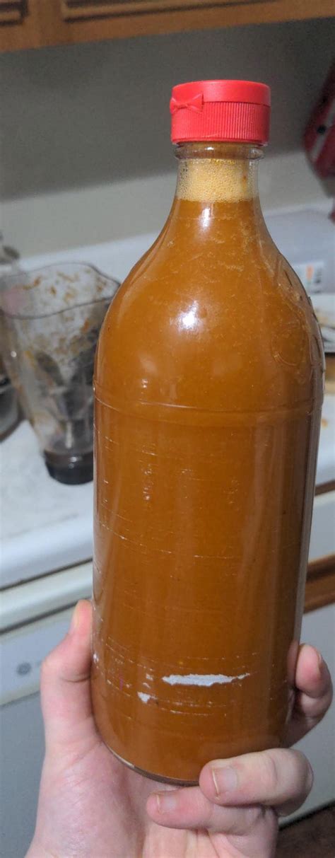 My First Ever Ferment And First Ever Hot Sauce I Fermented Some Red Jalapeños With Garlic And