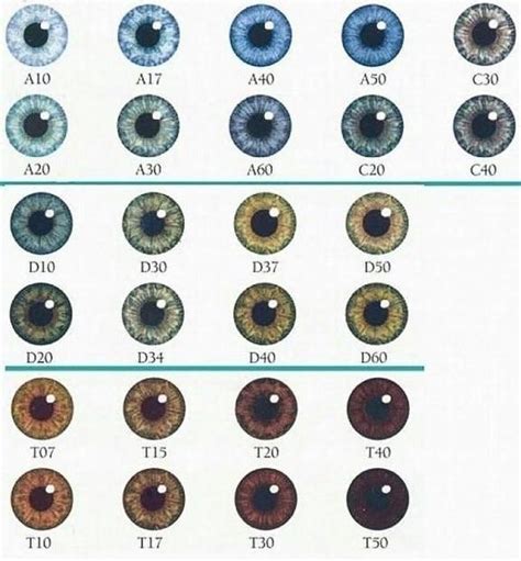 Human Eye Color (iris Color) Chart By KDC-71 On DeviantArt, 42% OFF