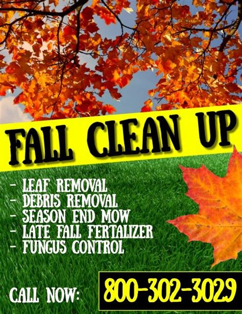 The Fall Clean Up Advertises To Remove Leaves From Their Lawn And Make