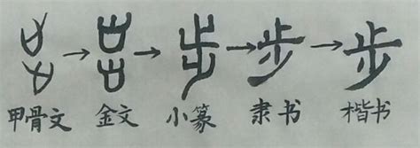 為什麼步字的下面不能多寫那一點？ 每日頭條