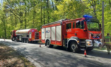 Zerwana linia energetyczna spowodowała pożar lasu w pobliżu