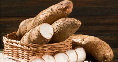 Descubre qué es la yuca y cuáles son sus beneficios Gastrolab