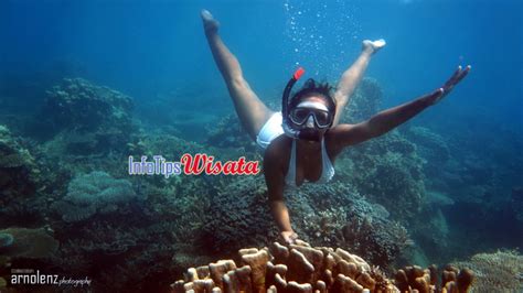 Snorkeling di Karimun Jawa