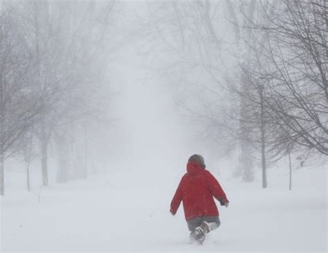 Tormenta Invernal Elliot Ya Lleva 60 Muertos En Estados Unidos Qué Pasa