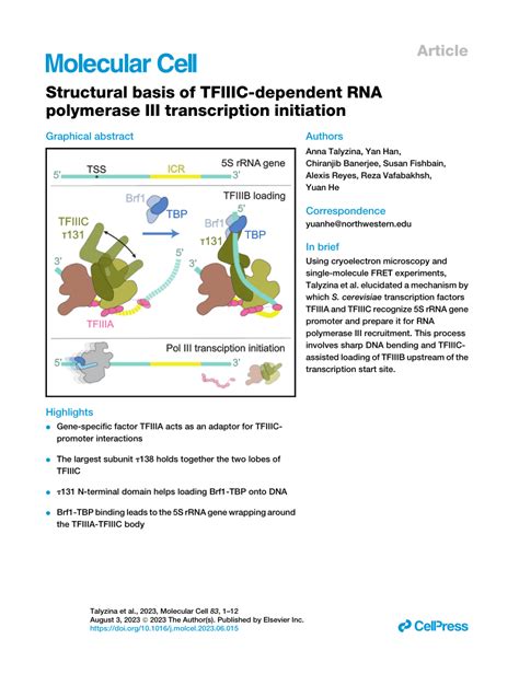 Pdf Structural Basis Of Tfiiic Dependent Rna Polymerase Iii Transcription Initiation