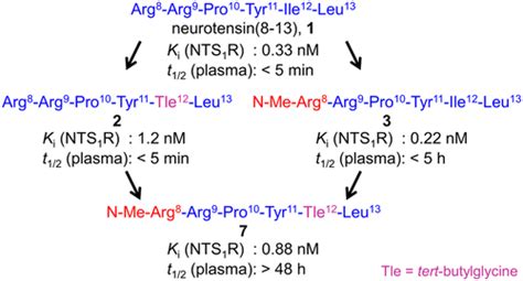 Modifications At Arg And Ile Give Neurotensin 8 13 Derivatives With