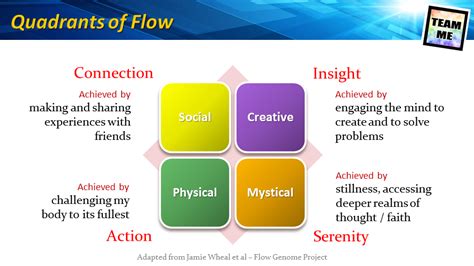 Mastering The Flow State - TEAM ME