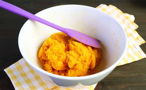 Pumpkin Puree For Dogs: Benefits, Recipes, Our Experience & More