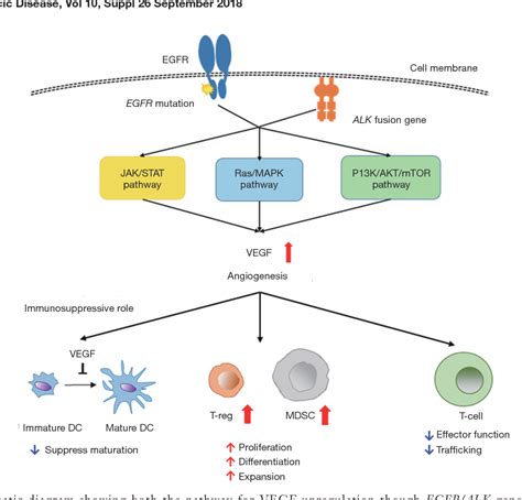 Figure 2 From Atezolizumab In Non Squamous Non Small Cell Lung Cancer